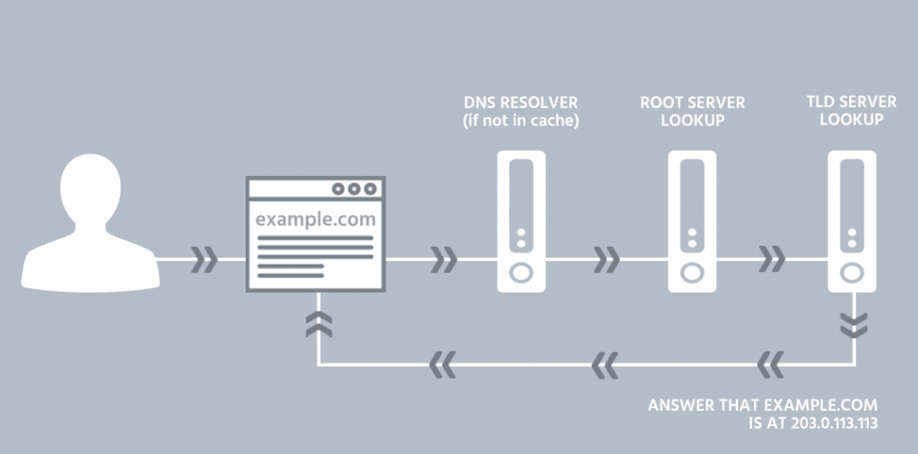 Почему dns нет в e katalog